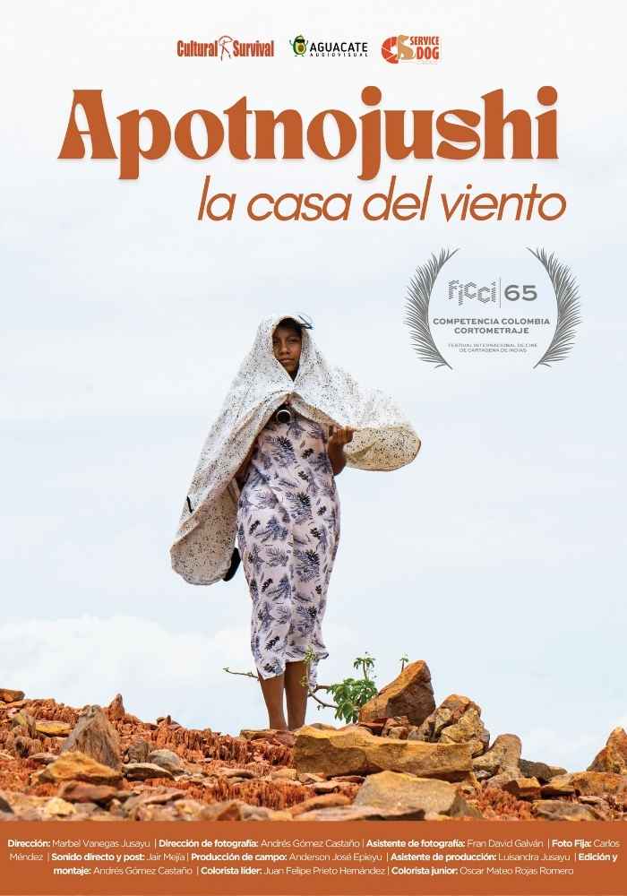Póster de Apotnojushi La Casa del viento