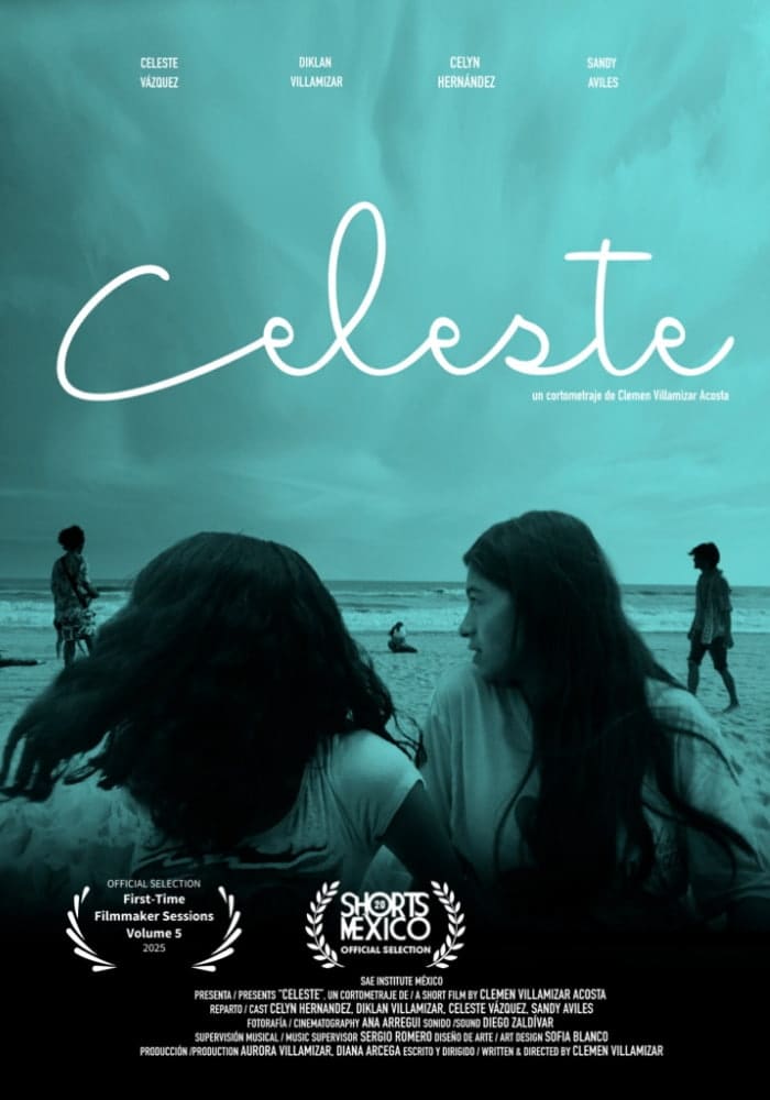 Póster de Celeste