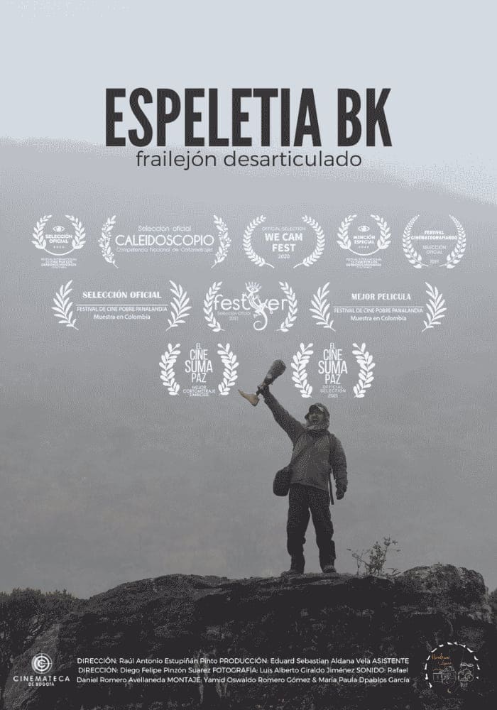 Póster de Espeletia BK: Frailejón desarticulado