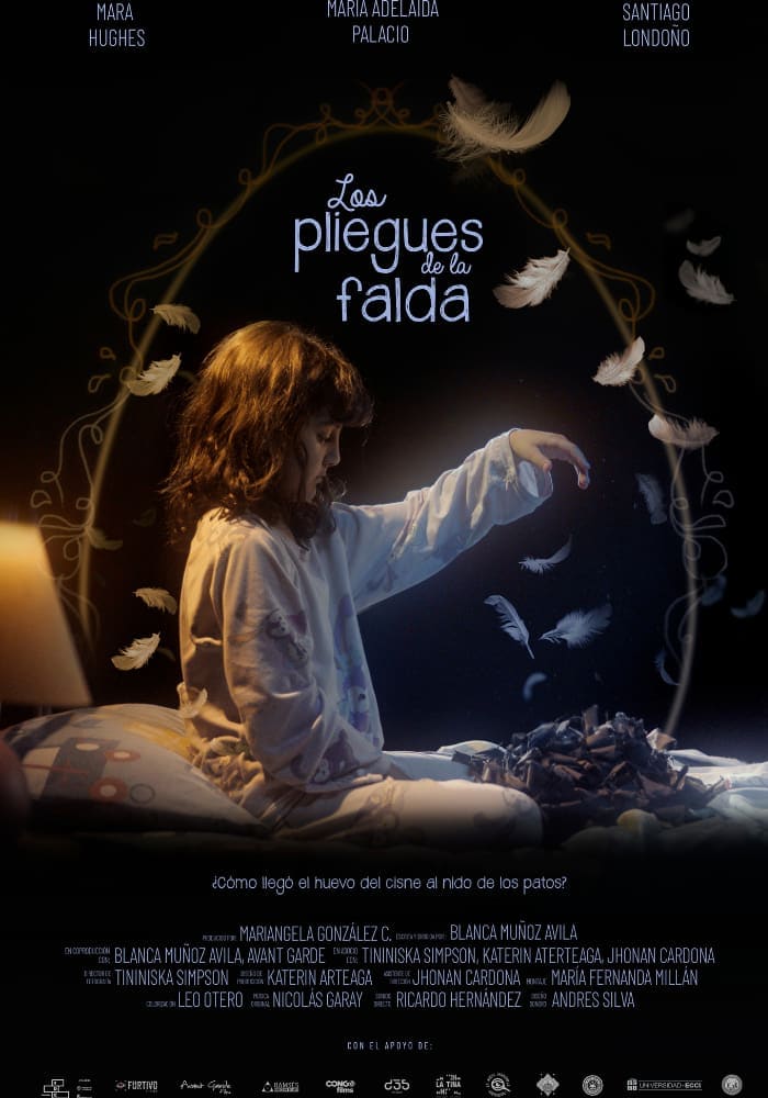 Póster de Los pliegues de la falda
