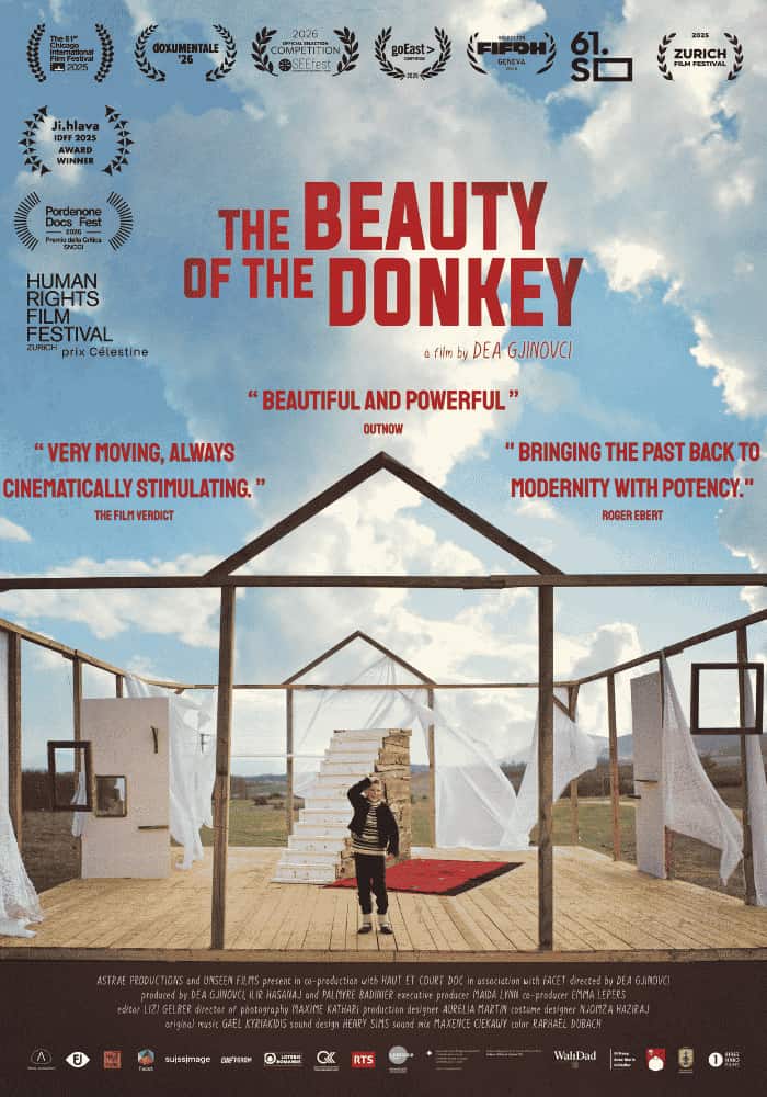 Póster de The Beauty of the donkey