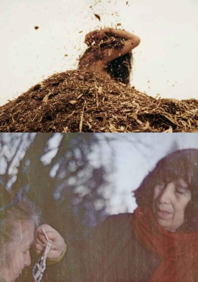 Desierto verde