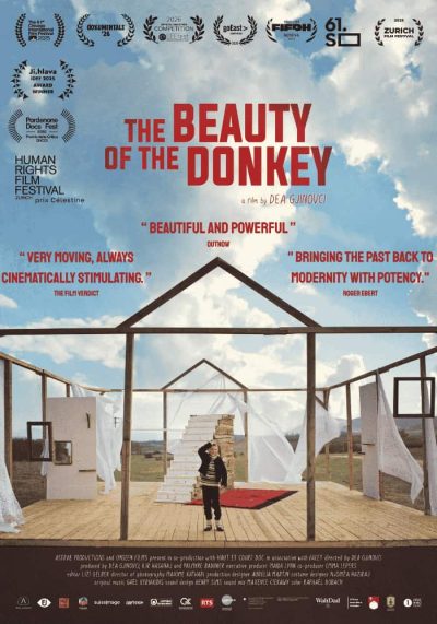 The Beauty of the donkey